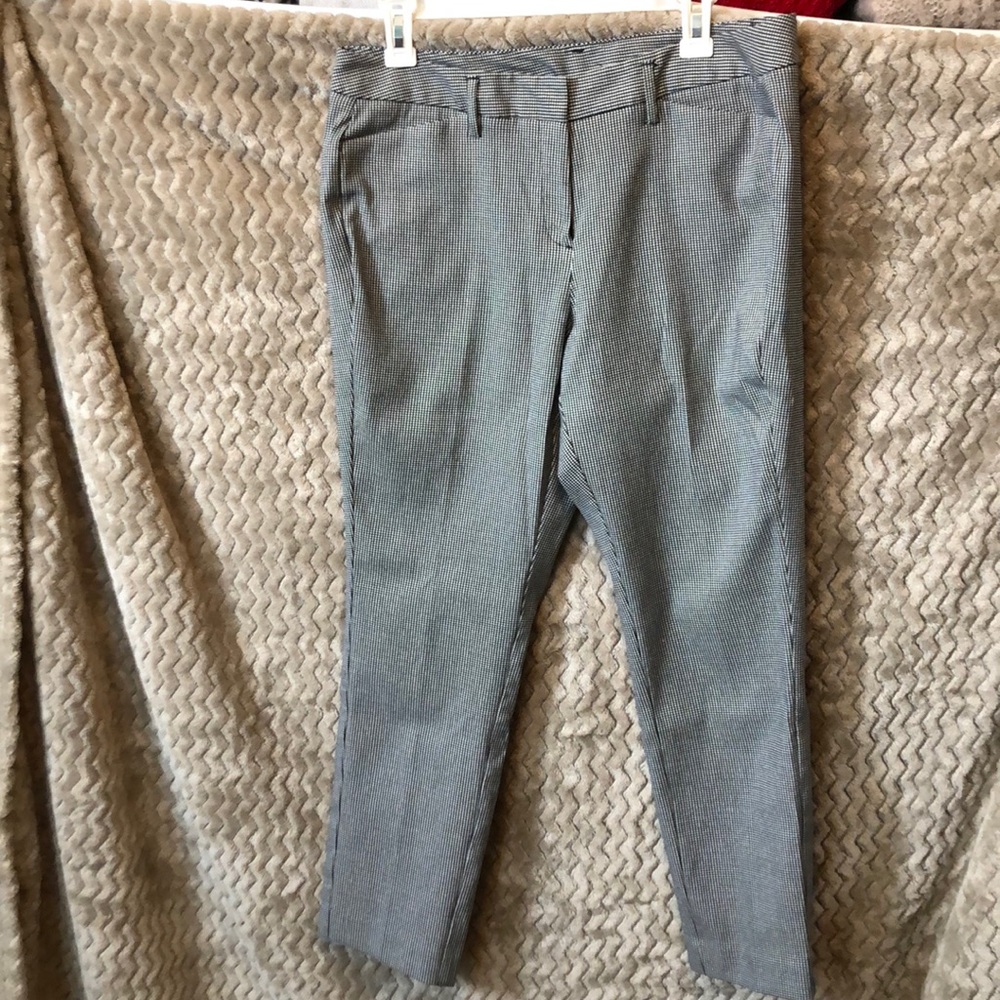 Dress Pants